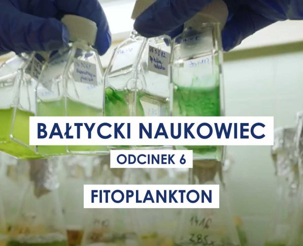 Bałtycki naukowiec | Odc. 6: Fitoplankton