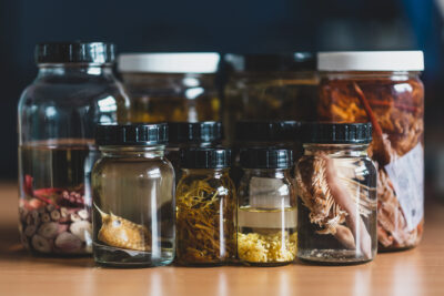 Dzień Edukacji Morskiej 18.10