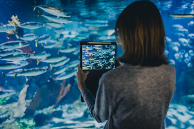 DigiBlue hackathon: storytelling for the sea