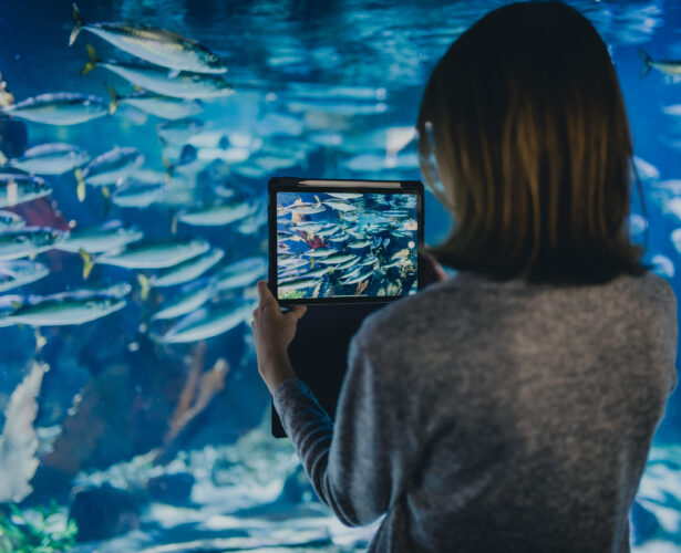 DigiBlue hackathon: storytelling dla morza