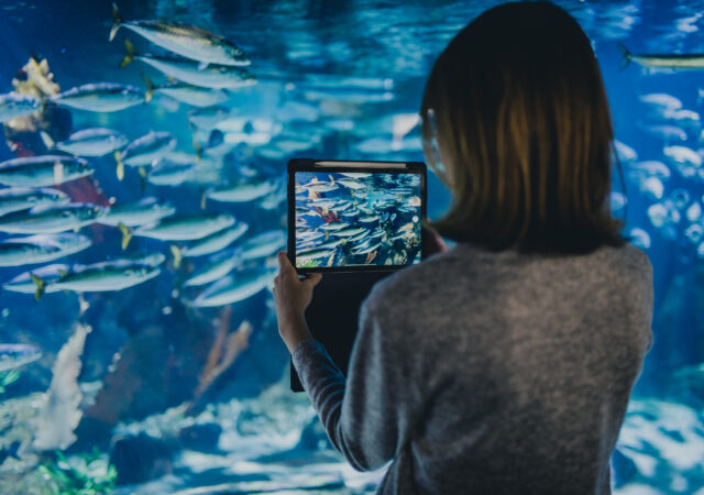 Dziewczyna trzymająca tablet przy akwarium, nagrywa film o rybach.