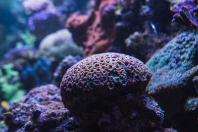 DigiBlue hackathon: storytelling dla morza