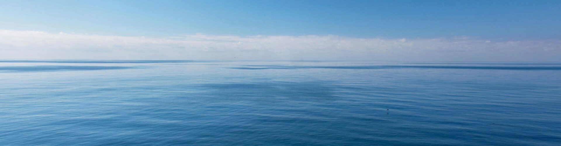 Wokół morza – Rybacka społeczność, sztuka i nauka