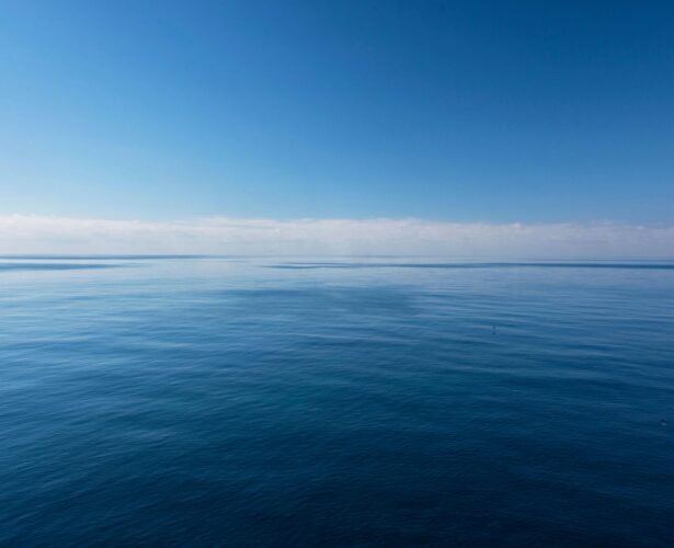 Wokół morza – Rybacka społeczność, sztuka i nauka