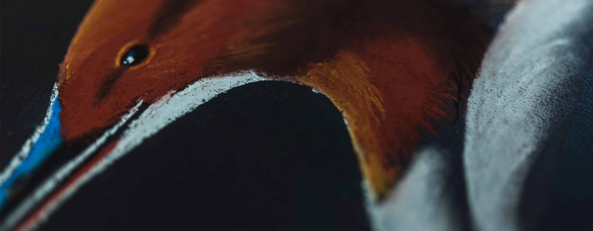 Dawid-Kilon-warsztaty