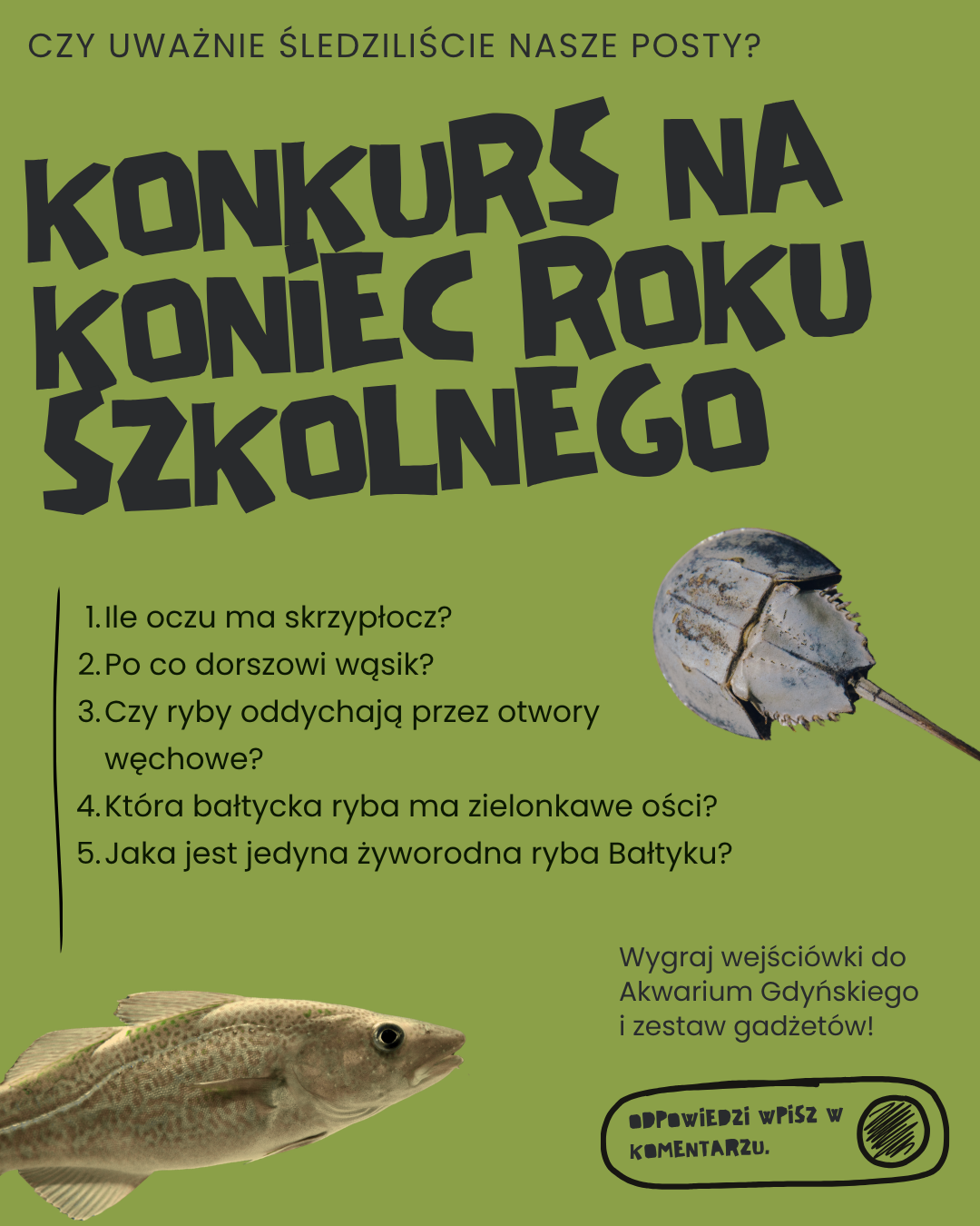 Grafika konkursowa na oliwkowozielonym tle. U góry znajduje się napis: „Czy uważnie śledziliście nasze posty?”. Poniżej dużymi, czarnymi literami widnieje tytuł: „Konkurs na koniec roku szkolnego”. W środkowej części umieszczono pięć pytań: Ile oczu ma skrzypłocz? Po co dorszowi wąsik? Czy ryby oddychają przez otwory węchowe? Która bałtycka ryba ma zielonkawe ości? Jaka jest jedyna żyworodna ryba Bałtyku? Po prawej stronie znajduje się zdjęcie skrzypłocza, a w lewym dolnym rogu zdjęcie dorsza. W prawym dolnym rogu widnieje informacja: „Wygraj wejściówki do Akwarium Gdyńskiego i zestaw gadżetów!”. Obok znajduje się odręcznie stylizowana ramka z napisem: „Odpowiedzi wpisz w komentarzu.”
