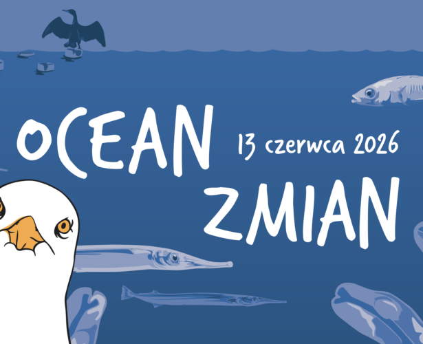 Ocean Zmian |  13.06.2026